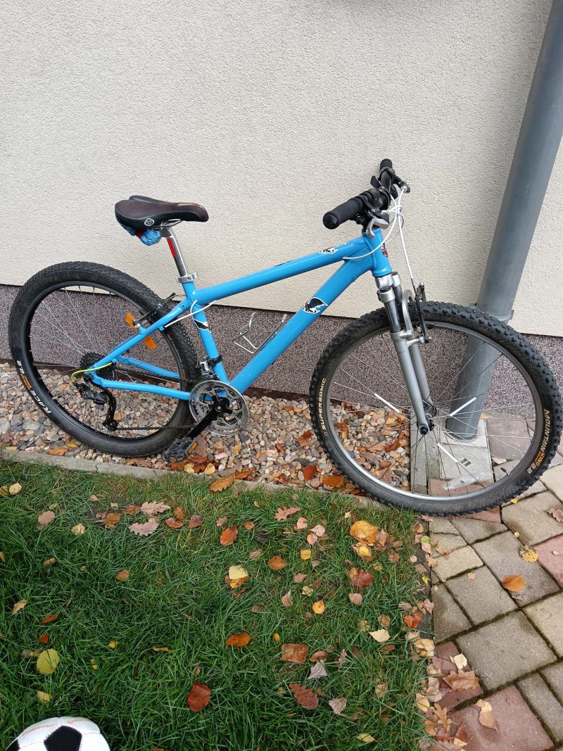 Schwinn