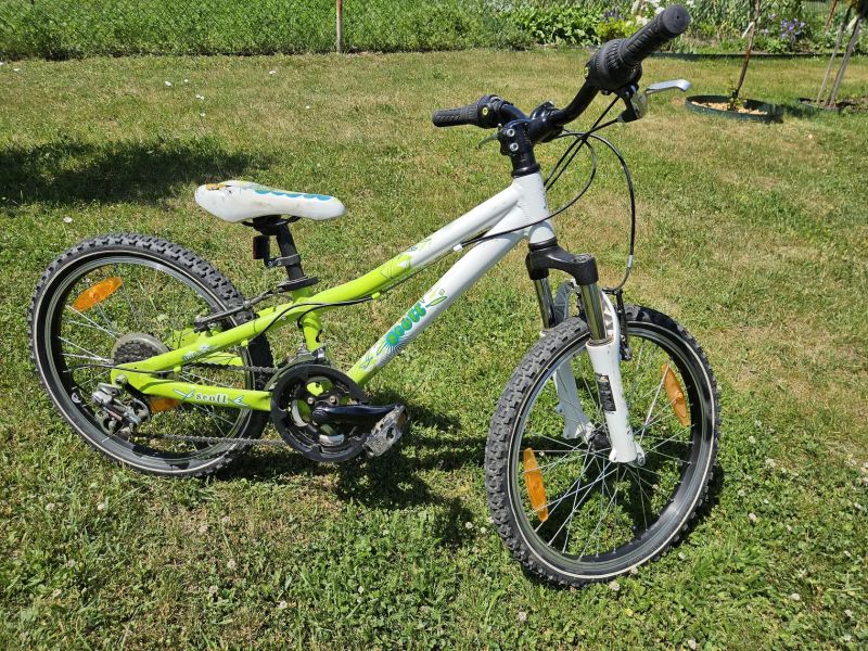 Scott Contessa Jr 20