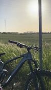 Trek FUEL EX 8 Gen 6