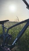 Trek FUEL EX 8 Gen 6
