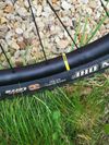 Cannondale Habit Carbon 2 29"