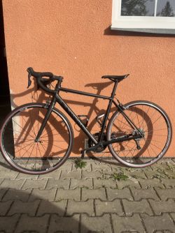 Canyon Endurace al 6