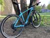 Bianchi Methanol SX