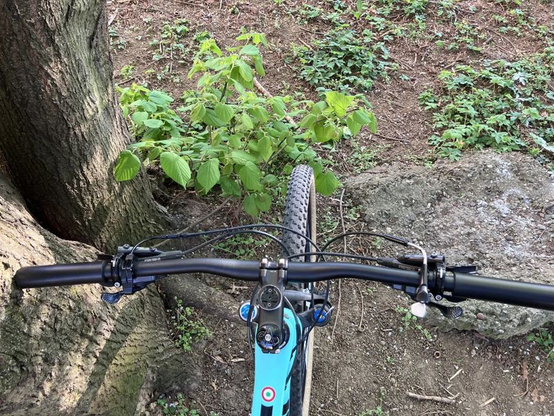 Bianchi Methanol SX