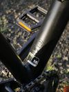 GT Avalanche Expert 2019