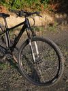 GT Avalanche Expert 2019