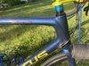 Focus Izalco Max (2014, L/58), custom lak