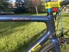 Focus Izalco Max (2014, L/58), custom lak