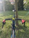Focus Izalco Max (2014, L/58), custom lak