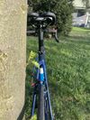 Focus Izalco Max (2014, L/58), custom lak