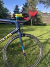 Focus Izalco Max (2014, L/58), custom lak