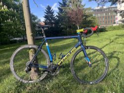 Focus Izalco Max (2014, L/58), custom lak