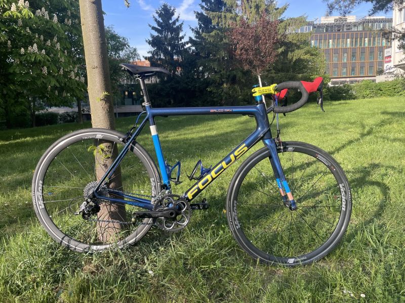 Focus Izalco Max (2014, L/58), custom lak