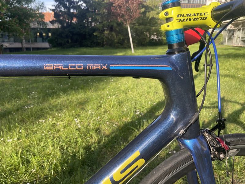 Focus Izalco Max (2014, L/58), custom lak