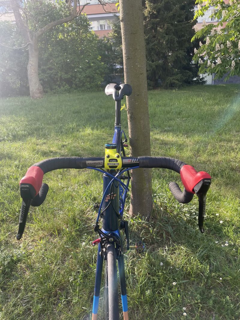 Focus Izalco Max (2014, L/58), custom lak