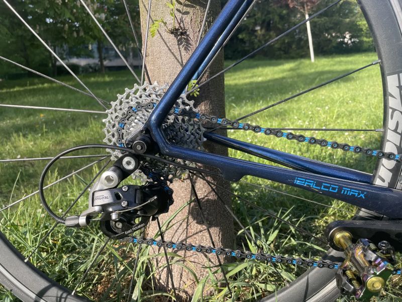 Focus Izalco Max (2014, L/58), custom lak