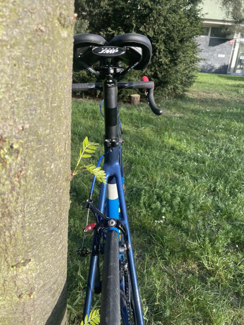 Focus Izalco Max (2014, L/58), custom lak