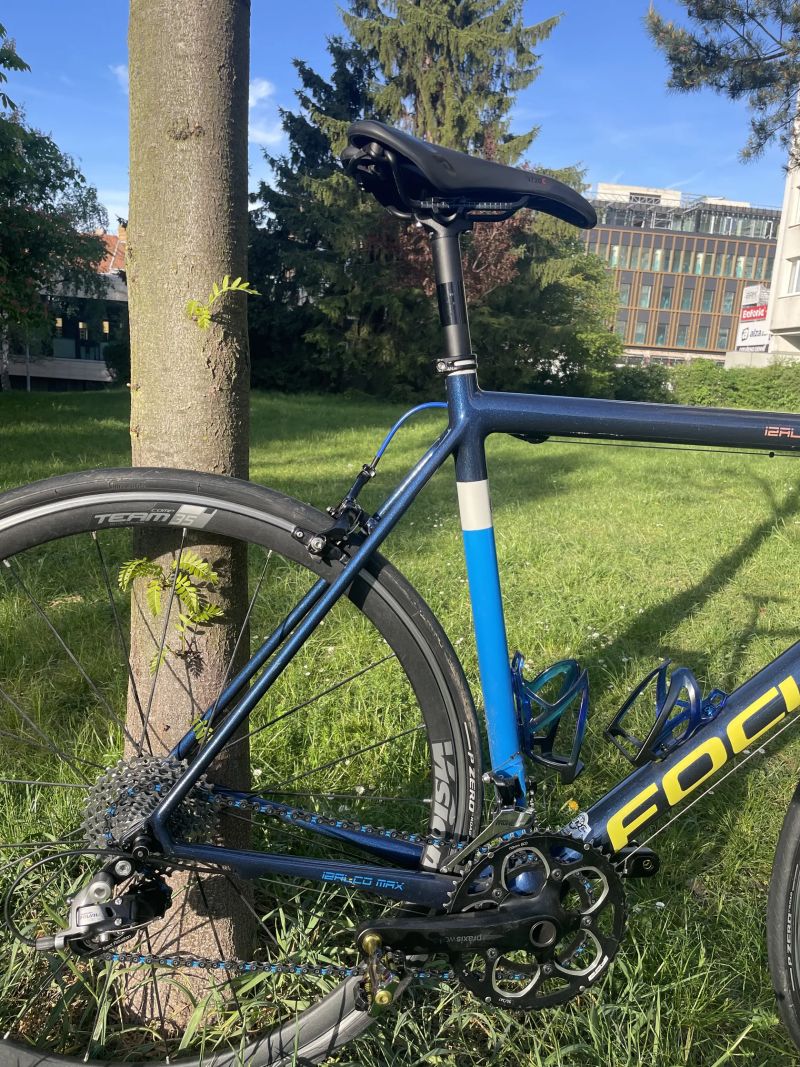 Focus Izalco Max (2014, L/58), custom lak