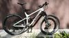 Trek TREK Fuel EX 8 29