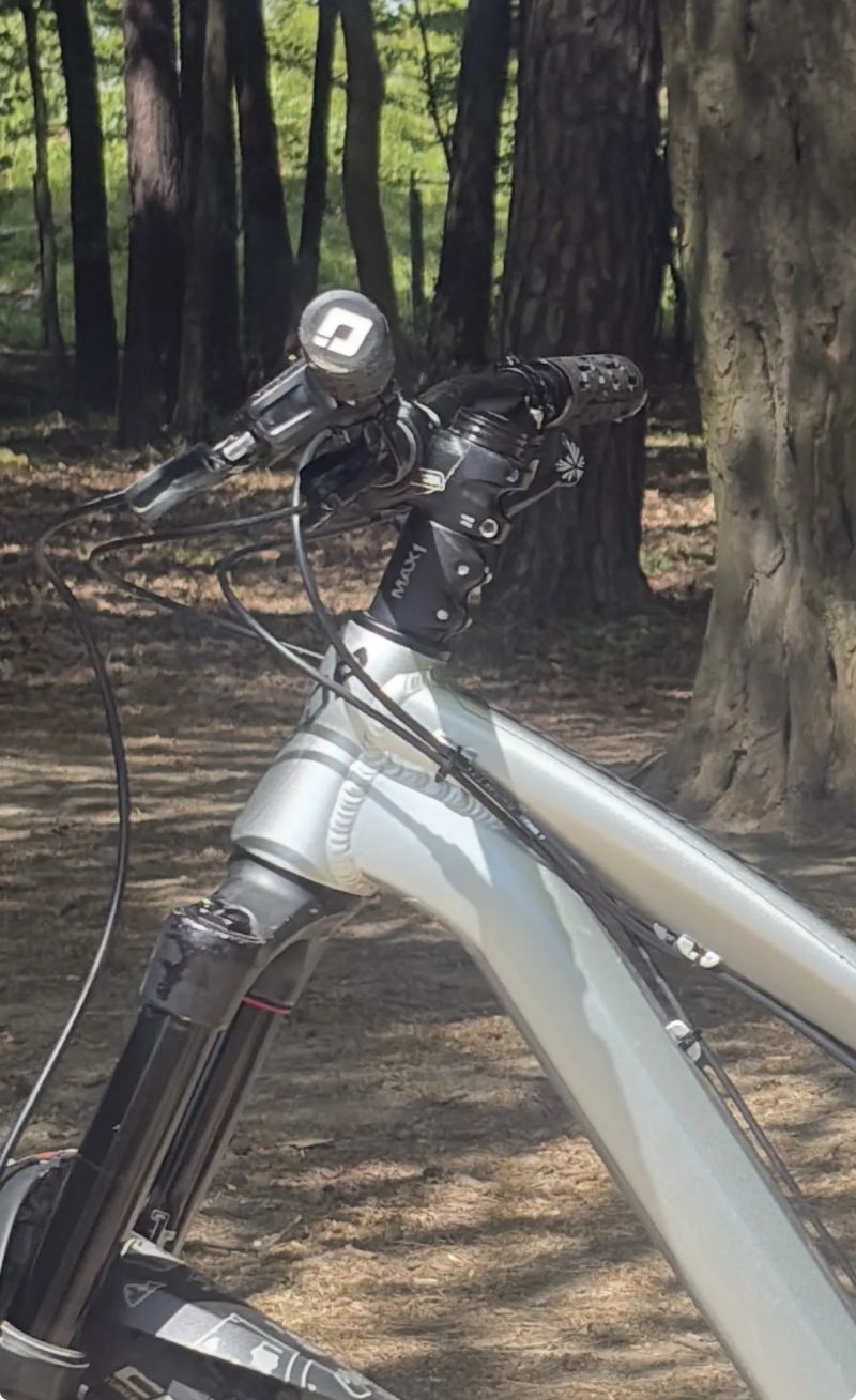 Dartmoor Hornet Pro