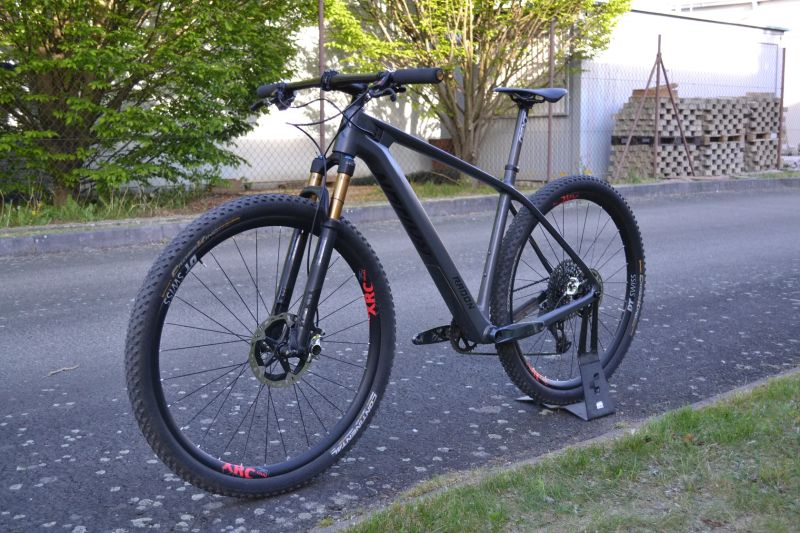 Radon Jealous AXS Eagle XX1 (L) 9 kg Top Stav