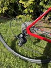 Focus Izalco Race