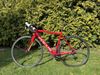 Focus Izalco Race