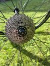 Focus Izalco Race