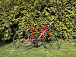 Focus Izalco Race