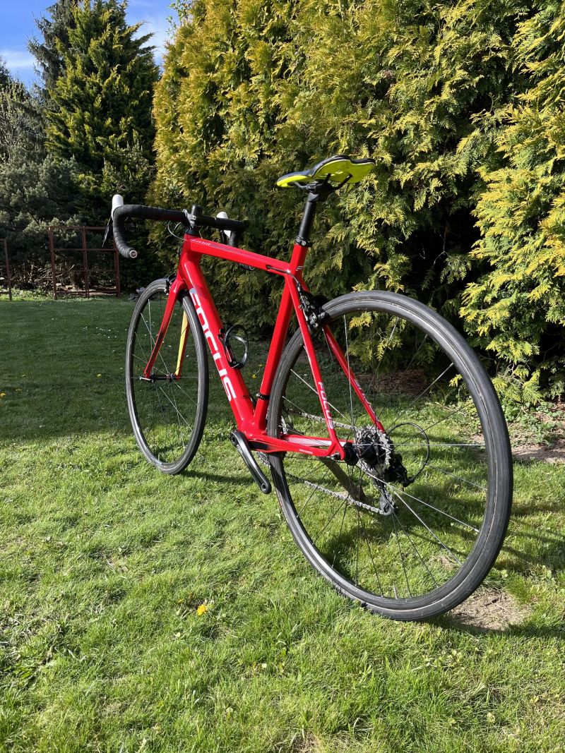 Focus Izalco Race