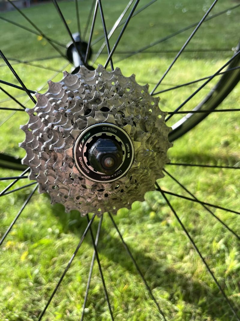 Focus Izalco Race