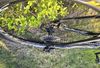 Scott Spark 930