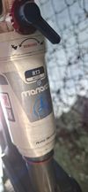 Focus Super Bud 29R 2.0