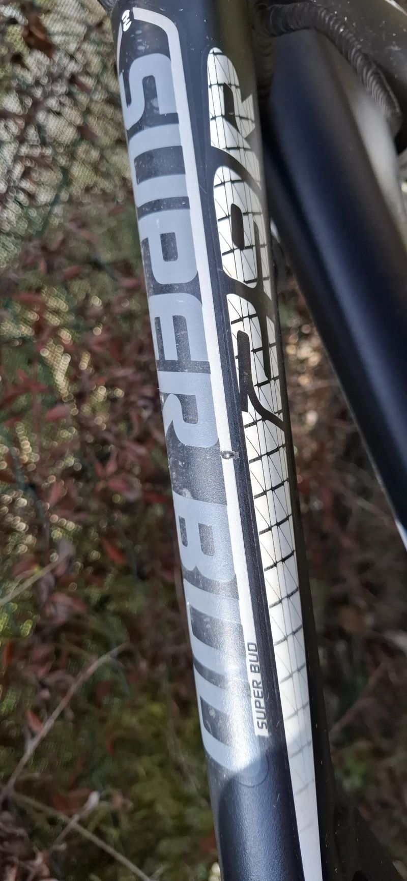 Focus Super Bud 29R 2.0