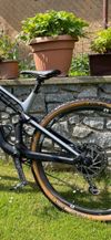 🔥 Canyon Neuron CF 8 (2019) | karbon + karbon kola Reynolds TR 309 | TOP stav - vel. M