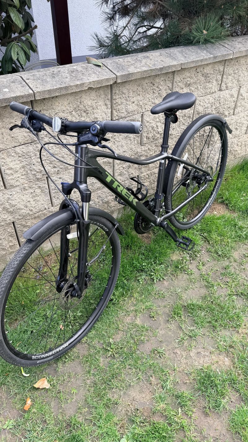 Trek Dual Sport 2