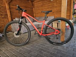 Specialized Jett Comp 29 2018 Horske kolo