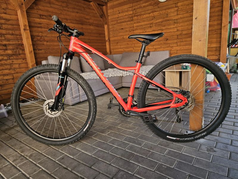 Specialized Jett Comp 29 2018 Horske kolo