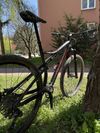 Specialized Epic 