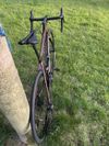 Giant TCR Advanced Disc 2 Pro Compact
