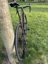 Giant TCR Advanced Disc 2 Pro Compact