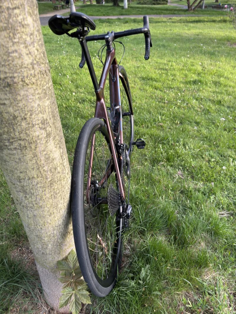 Giant TCR Advanced Disc 2 Pro Compact