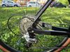 Holdsworth Mystique