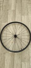 Bontrager paradigm