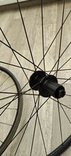 Bontrager paradigm