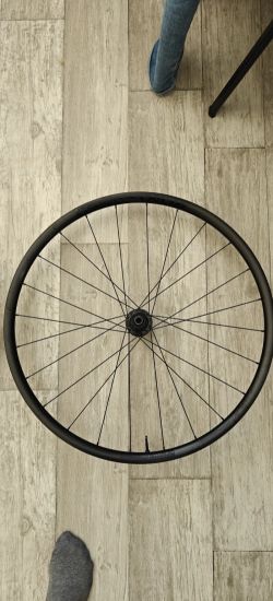 Bontrager paradigm