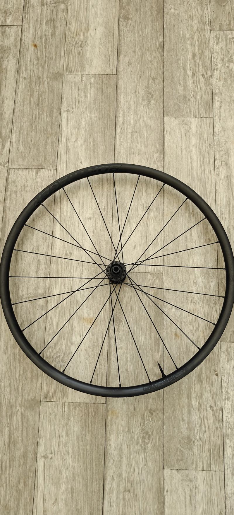 Bontrager paradigm