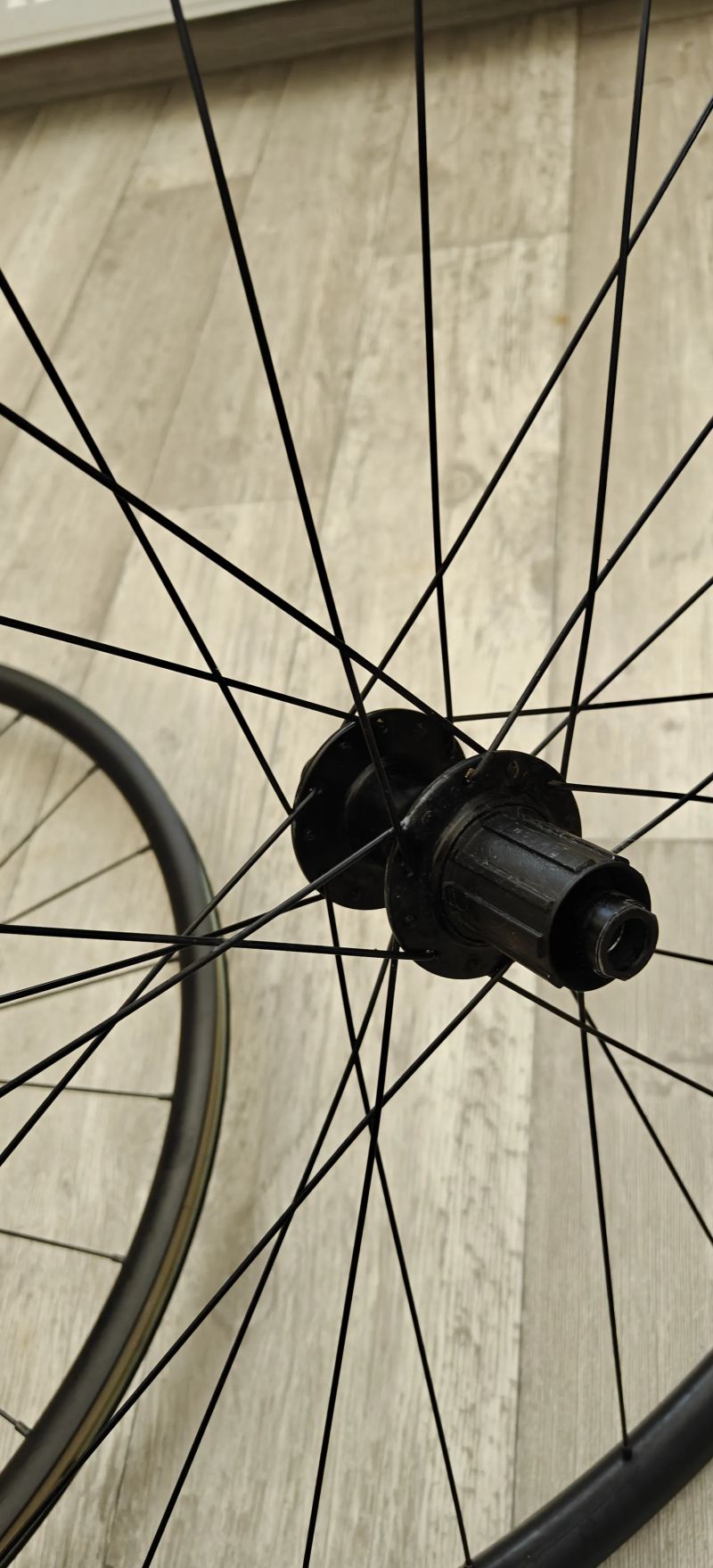 Bontrager paradigm