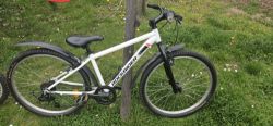 Rockrider
