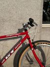 GT Outpost Trail (restomod stavba) - S/M